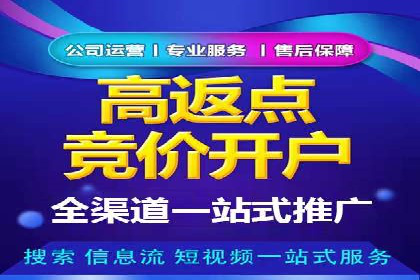 视频教程：通过SEM推广实现快速引流